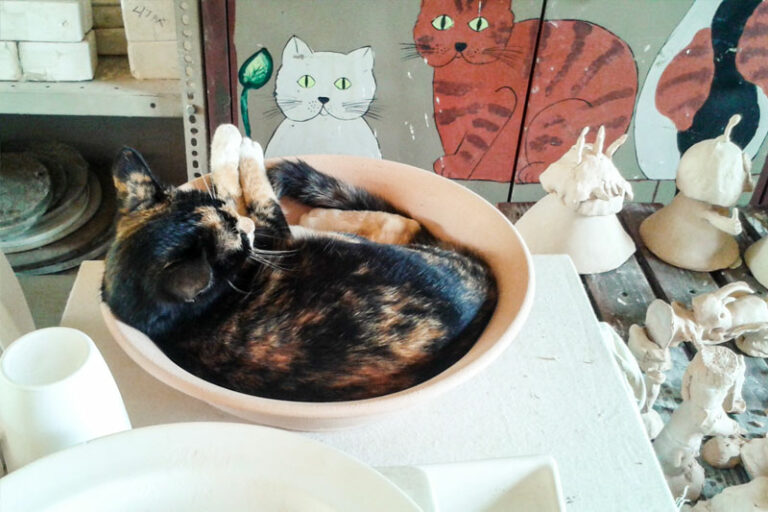 The Cats Paw Pottery Studio  768x512