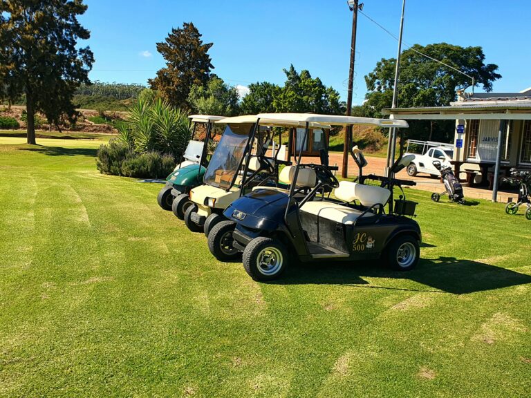 Heidelberg Golf CLub 6 768x576