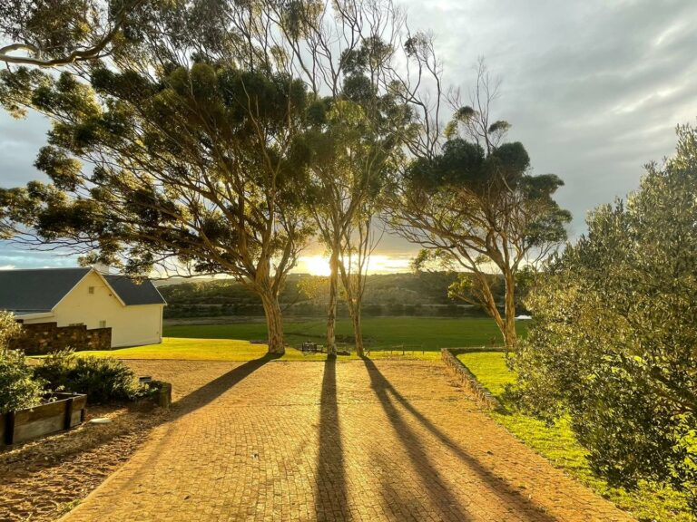 Kleinbergskloof venue 2 768x576
