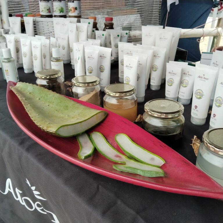 aloe ferox 768x768